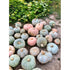 Pueblo Hubbard Squash
